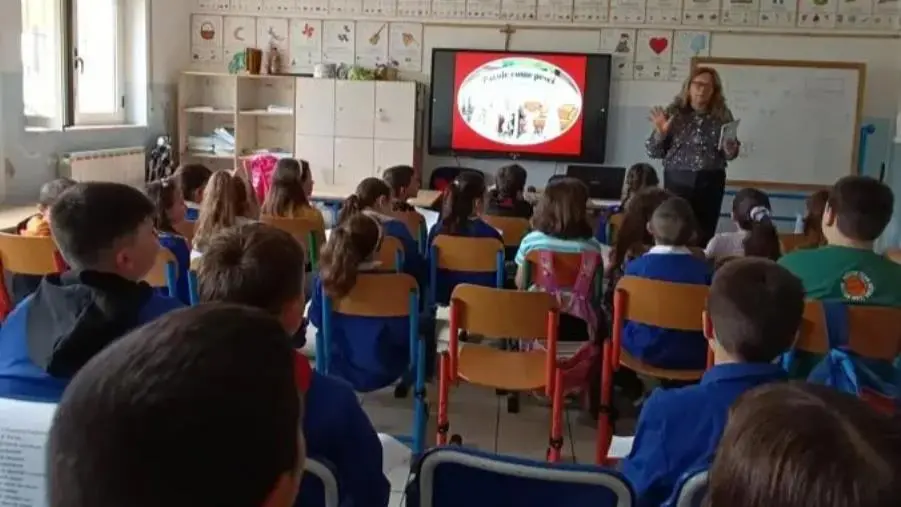 “Parole come pesci”: la graphic novel per l’infanzia di Sina Mazzei nella scuola di Vena di Maida