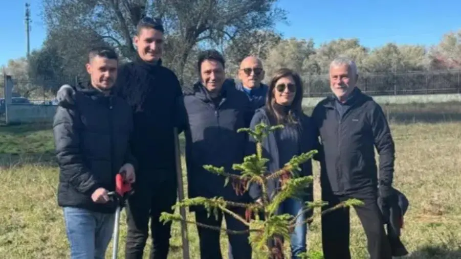images “Dona e adotta un albero” a Vibo: effettuate oltre 30 piantumazioni da Comune e  Associazioni 