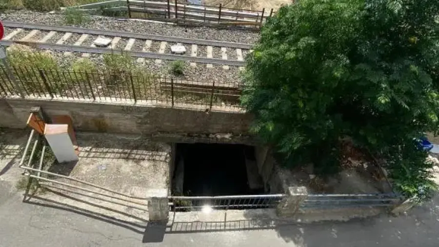 Il Gruppo “UniAmo Botricello”: “Omissioni e bugie del Sindaco sulla problematica del virus West Nile”