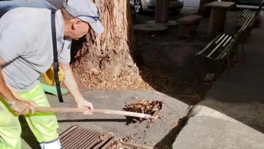 images Catanzaro, Sergi: “In corso la pulizia di caditoie e canaloni”