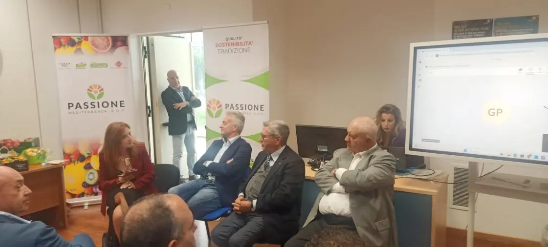 Catanzaro, presentata in Regione l'associazione di produttori ortofrutticoli “Passione Mediterranea AOP”