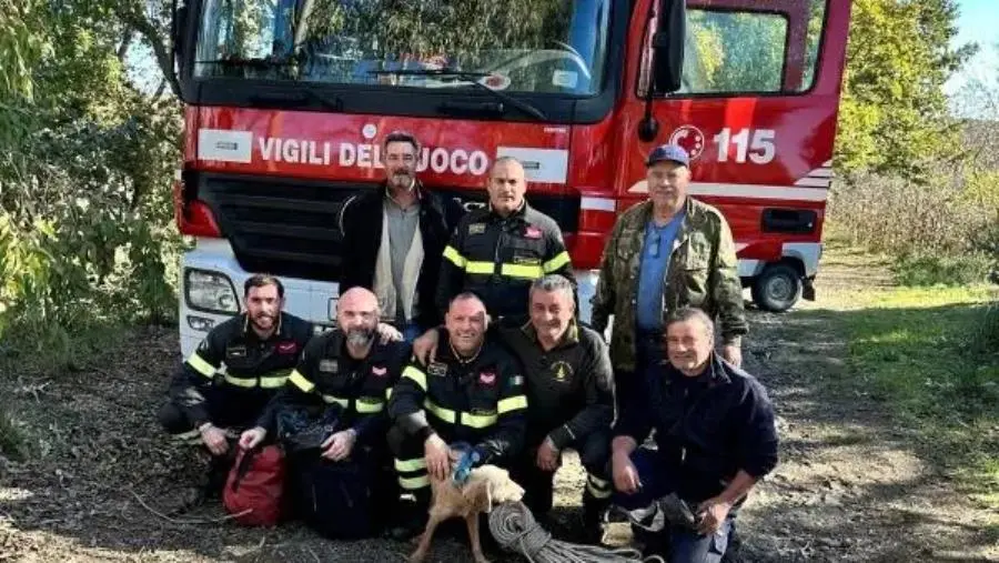 Caraffa, recuperato dai vigili del fuoco cane da caccia scivolato in un dirupo 