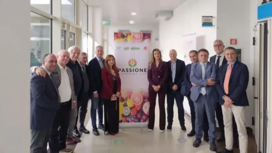 Nasce “Passione Mediterranea AOP”, Gallo: “La prima organizzazione di produttori ortofrutticoli istituita in Calabria”