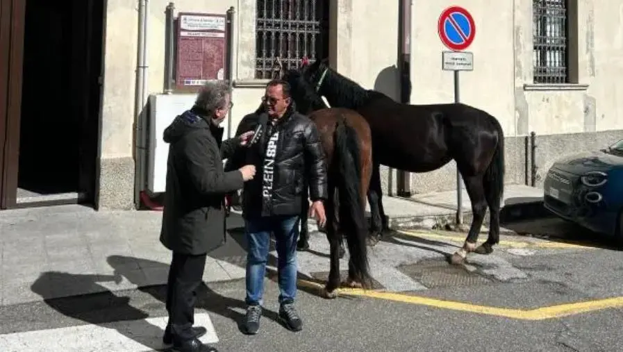 images Il Comune di Sersale gli deve 120mila euro: imprenditore lega i cavalli davanti al Municipio