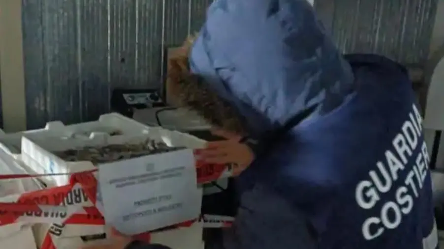 Soverato, la Guardia Costiera sequestra oltre 11 quintali di pesce non idoneo al consumo 