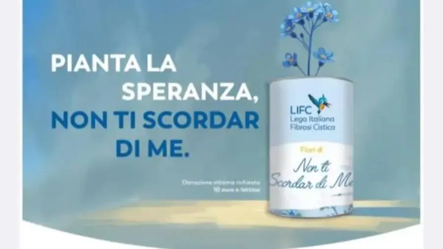 Giornata mondiale fibrosi cistica, nella giornata dell'8 settembre la campagna 'Non ti scordar di me'