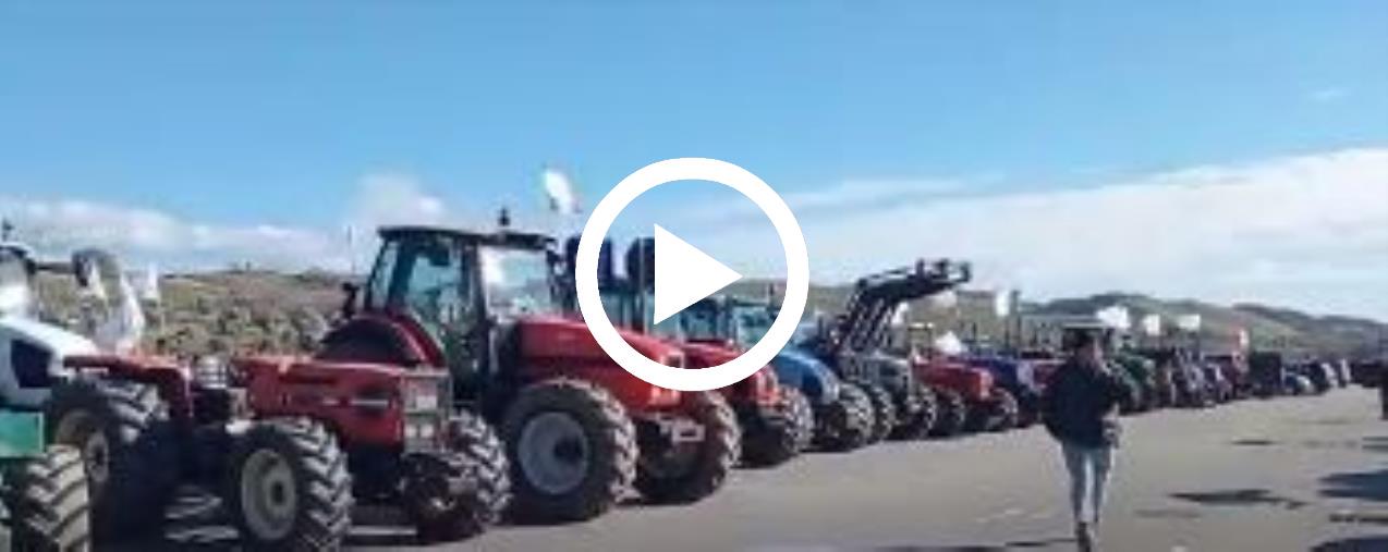 La rabbia degli agricoltori calabresi: cento trattori sotto la Cittadella regionale