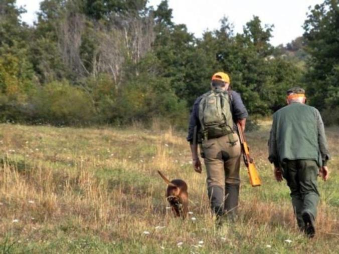 images Emergenza cinghiali. Approvato il nuovo Piano regionale. Gallo: "Immediatamente operative le squadre di selettori"