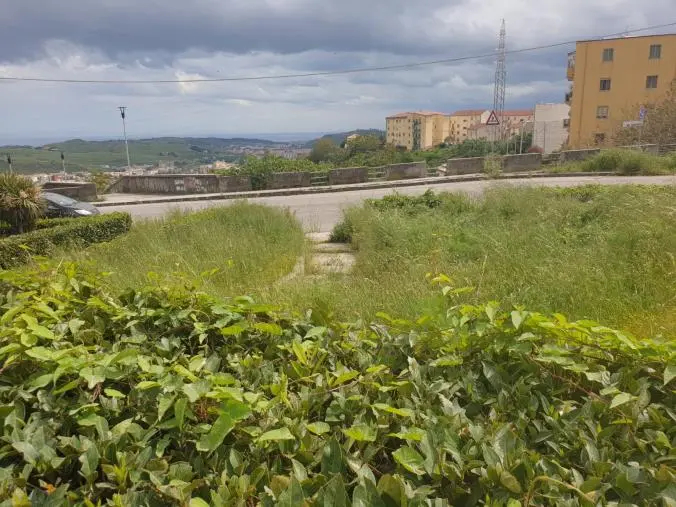 Catanzaro, residenti allo stremo: "C'è una giungla in città"