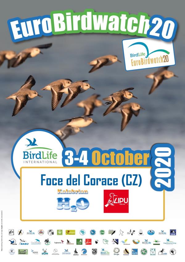 images Torna il 3 e 4 ottobre sulla foce del Corace il più grande evento "Birdwatching" in Italia e in Europa