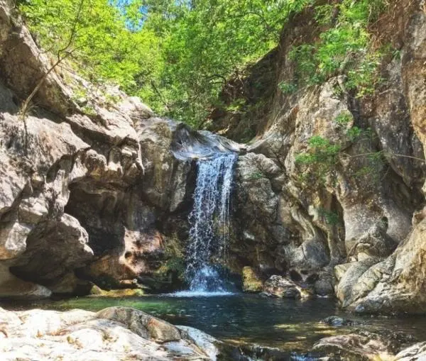 Proposta di legge regionale per istituire la Riserva Naturale Trinchise 