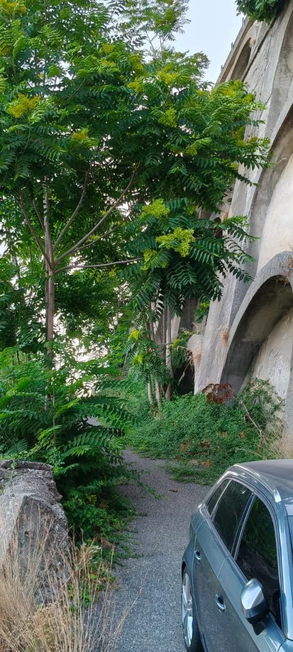 Alleanza per Catanzaro: “Ascensore Bellavista precluso ai cittadini”
