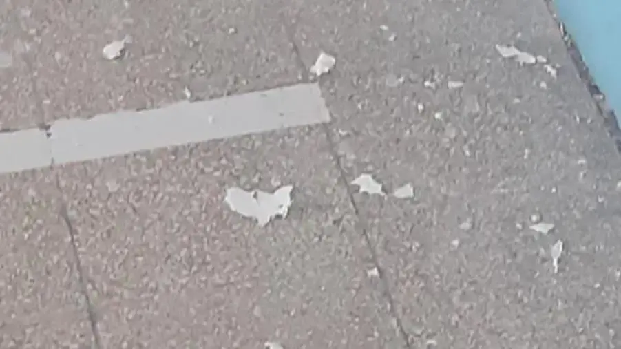 Calcinacci dal soffitto in un'aula della scuola di Murano, Alleanza per Catanzaro: "Vergogna infinita"