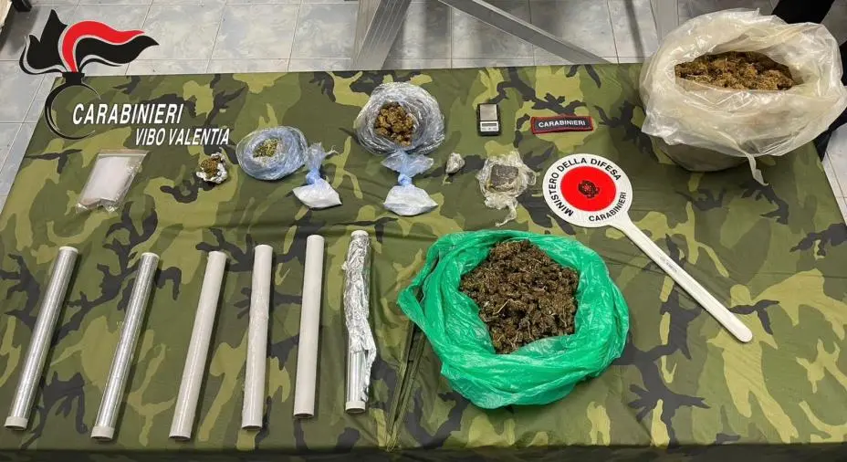 images In casa con 1,5 kg di droga, giovane arrestato nel Vibonese 
