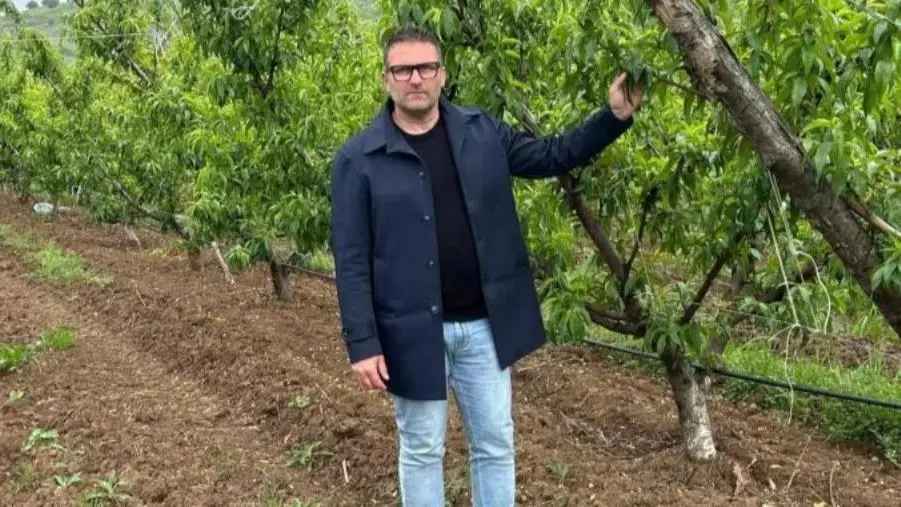La ricerca dell'Unical per una nuova agricoltura di qualità  