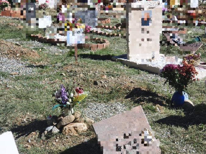 images Cimitero di Via Paglia, Critelli: "Ringrazio l'assessore Casalinuovo per la tempestiva ripulitura di alcune zone"