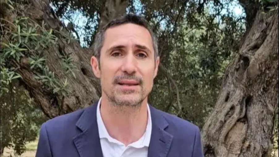 Alecci: "Il vento delle pale eoliche spazza via i sogni dei giovani calabresi"