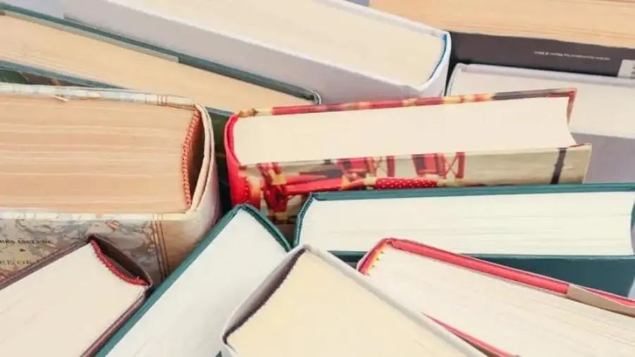 images Lettera a Tito, nove libri di Armando Verdiglione in dono alla Biblioteca di Soriano e sette alla Vincenziana di Davoli Marina