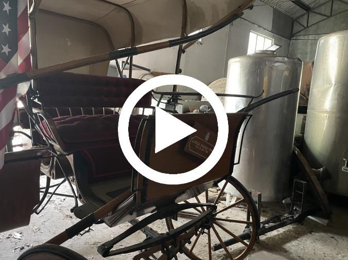 images Tentato furto di una carrozza storica nell'ex museo a Siano, Pavone: "Lasciati soli a difendere un patrimonio della città"