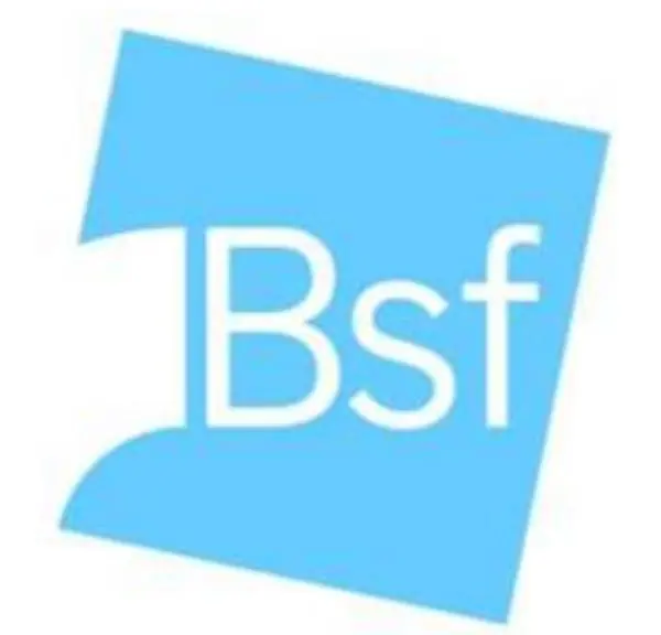 Biagio Maimone nominato Corporate Communication della Società siciliana Bsf Srl