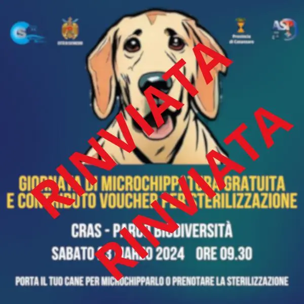 Catanzaro, rinviata per problemi logistici la Giornata di microchippatura gratuita e contributo sterilizzazione cani