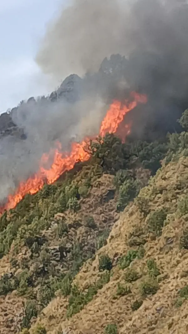 images Emergenza incendi a Gimigliano: da 30 ore fiamme senza sosta 