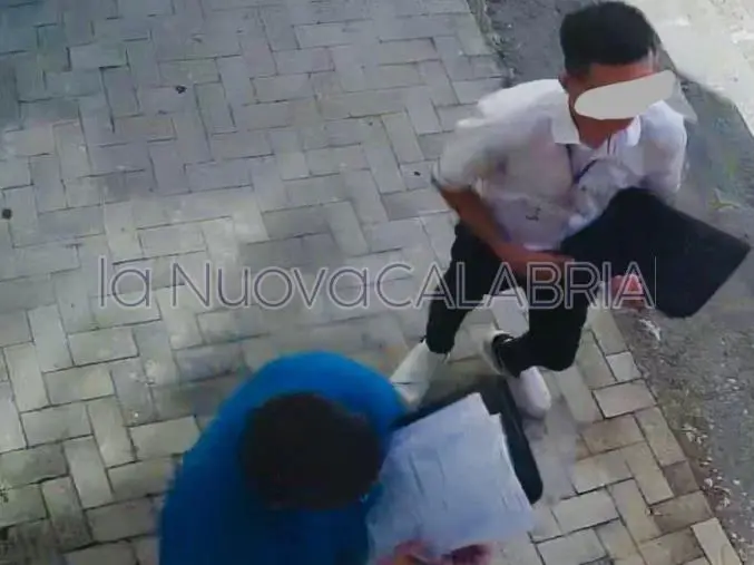 Falsi tecnici Enel bussano alle case del Catanzarese: le loro "gesta" in un video