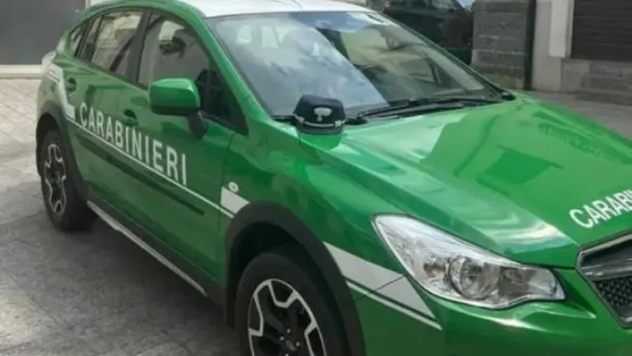 Controlli dei Carabinieri Forestali nel Parco Nazionale d’Aspromonte: 5 soggetti sanzionati