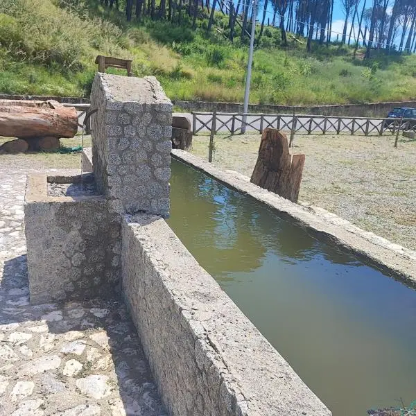 images Riattivata la fontana della Pineta di Siano, Serò e Carpino: "Un ulteriore segnale di concreta rinascita"