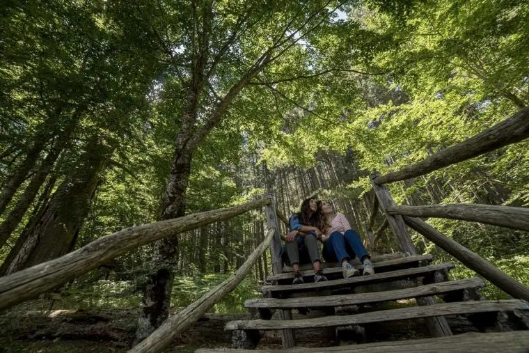 Sere FAI d’Estate: ai Giganti della Sila tra trekking, astronomia e musica popolare sotto le stelle