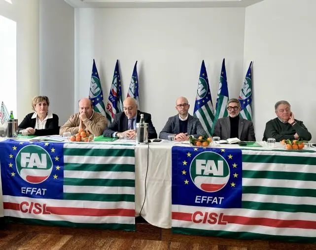 Contrattazione, formazione e servizi: svolto il Consiglio Generale FAI-CISL Calabria