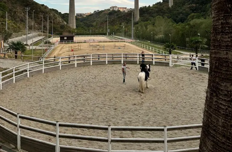 Tutto pronto per il Concorso Nazionale Equestre di Catanzaro: ecco il programma completo