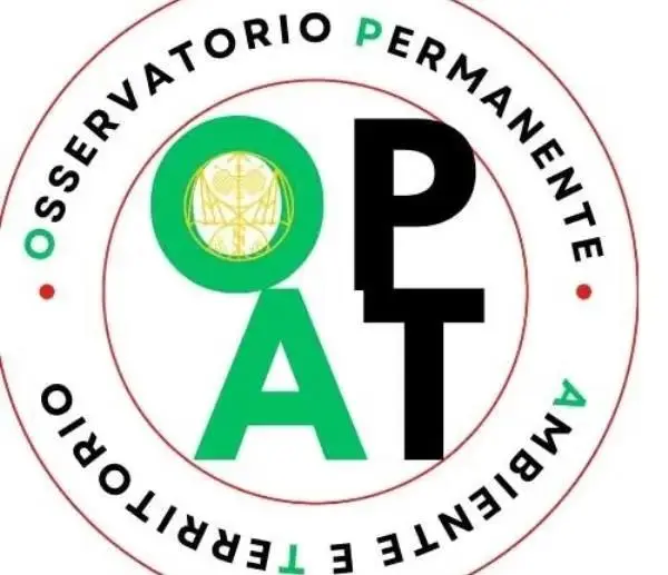 L’appello dell’Osservatorio: “Catanzaro dimentica i suoi animali, serve un gattile comunale”