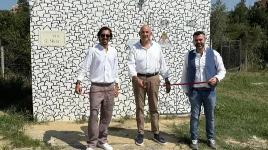 images A Sellia marina una cabina elettrica diventa un'opera d'arte con il murales di Massimo Scalzo