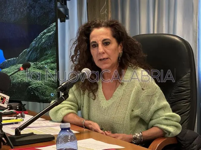 images Strade sicure, Wanda Ferro annuncia "60 militari in più in Calabria"