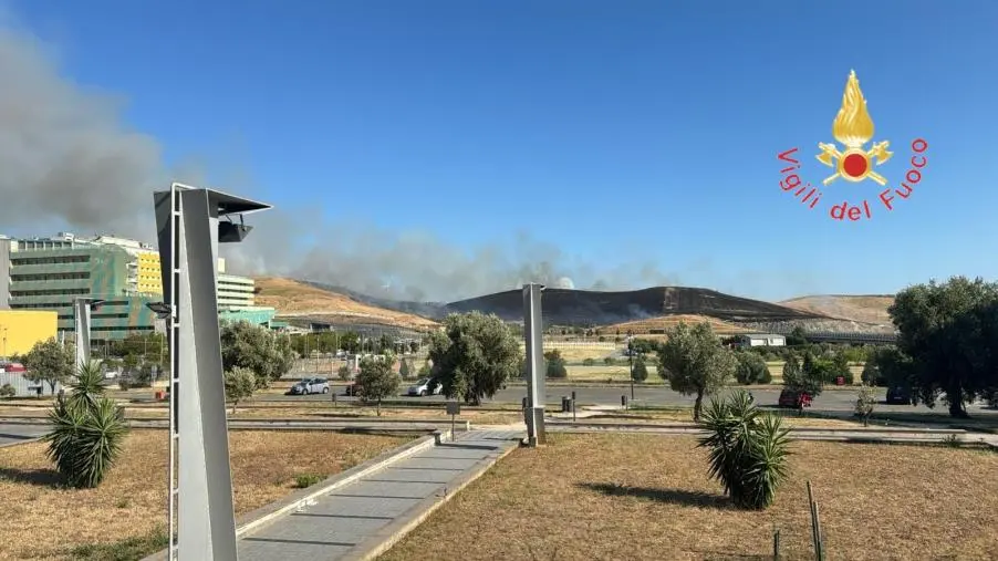 Catanzaro, in fiamme la collina nei pressi della Cittadella e del Policlinico universitario 