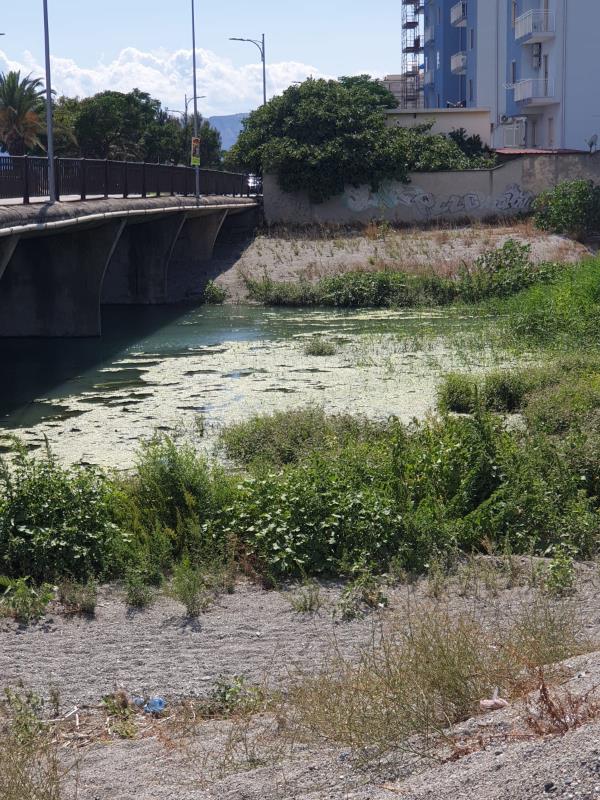 images Foce della Fiumarella, Alleanza per Catanzaro chiama Casalinuovo: "Serve una bonifica immediata"