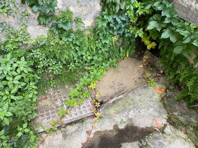 Riparata la fogna a cielo aperto in via Cilea. Veraldi: "Questo dimostra che Catanzaro è città dalle mille possibilità"
