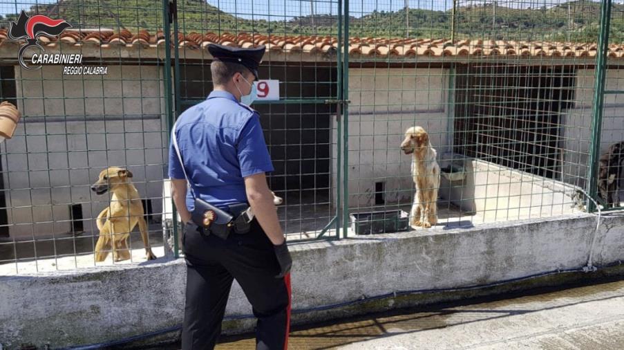 images Spaccio di droga, arrestato un ventiseienne a Isola Capo Rizzuto