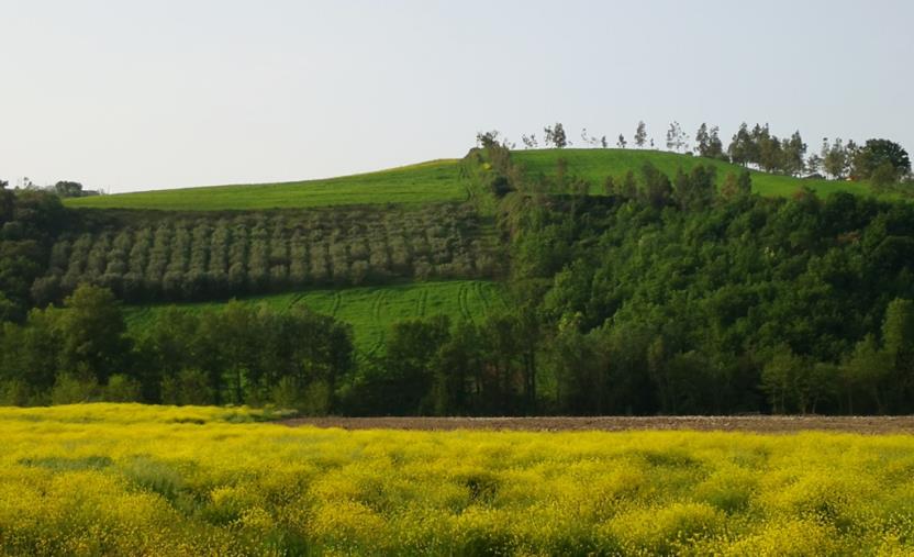 images Il GAL Valle del Crati conferma la sua azione di sostegno alle aziende agricole 