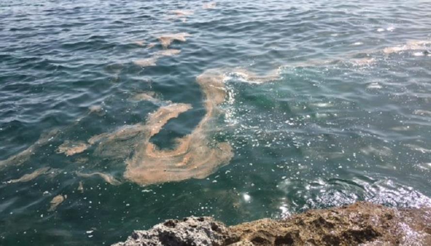 images Catanzaro. Sentenza Discarica Alli, Durante (Movimento Difesa del Cittadino): “Sui temi ambientali non faremo sconti a nessuno"