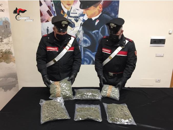 images Crotone, sequestrati oltre 2,5 chilogrammi di marijuana 
