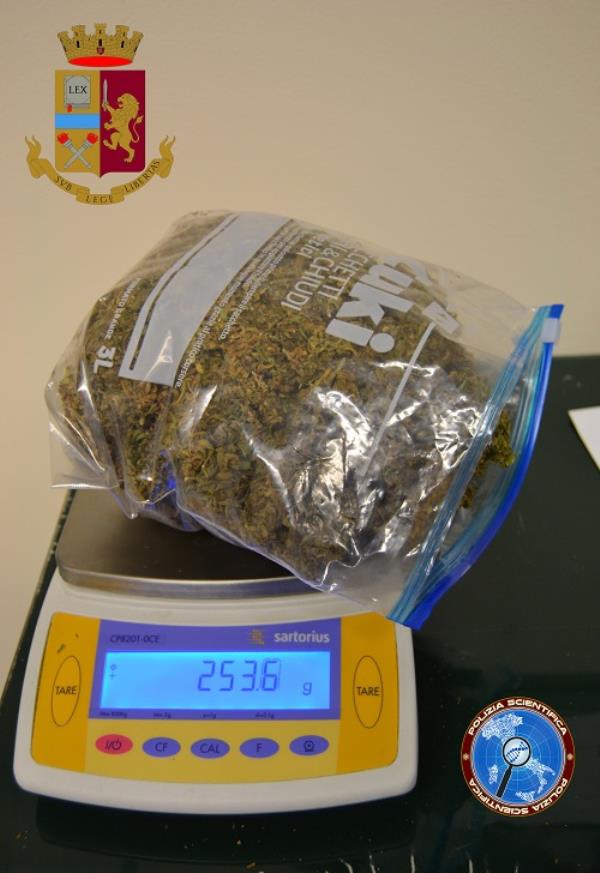 images Un sessantenne lametino beccato con la marijuana, scattano i domiciliari 