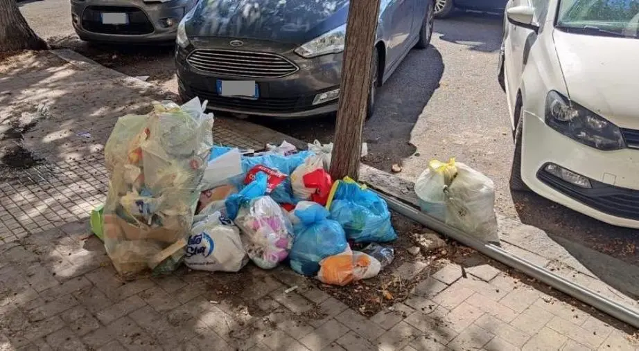 images Catanzaro, pugno duro dei Vigili urbani contro l'abbandono di rifiuti nel quartiere Lido