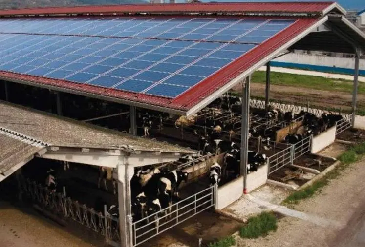 images Pnrr, i pannelli fotovoltaici si possono installare sulle stalle: soddisfazione da Coldiretti