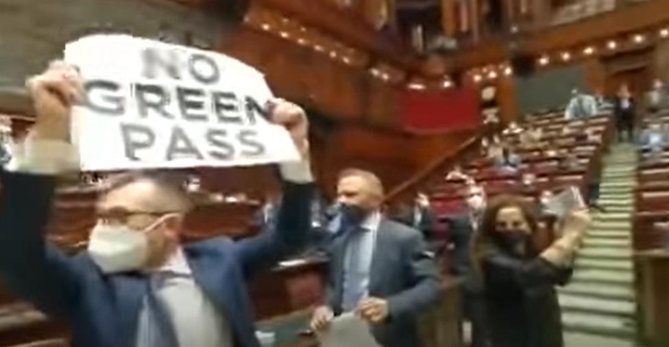 images Wanda Ferro con Fratelli d'Italia occupa l'aula al grido di "No Green Pass" 