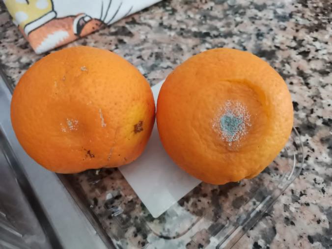 Frutta avariata in una scuola del lametino. Adiconsum: "Necessari controlli preventivi"