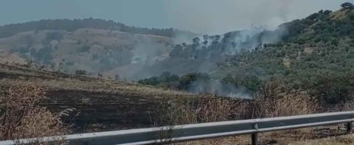 images Catanzaro, in fiamme la collina di Germaneto: il fumo arriva fino alla strada