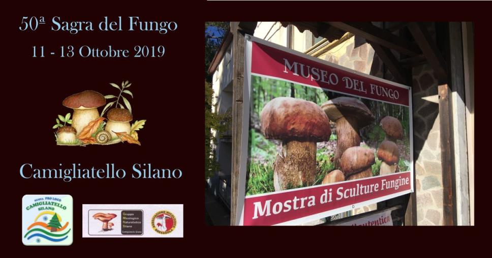 images Poste italiane in occasione della 50^ edizione della Festa del Fungo, a Camigliatello, attiverà un annullo filatelico 