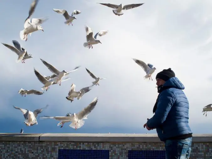 images "Anima Marina", il volume fotografico di Gianluca Bellacoscia: 200 scatti dal quartiere Lido